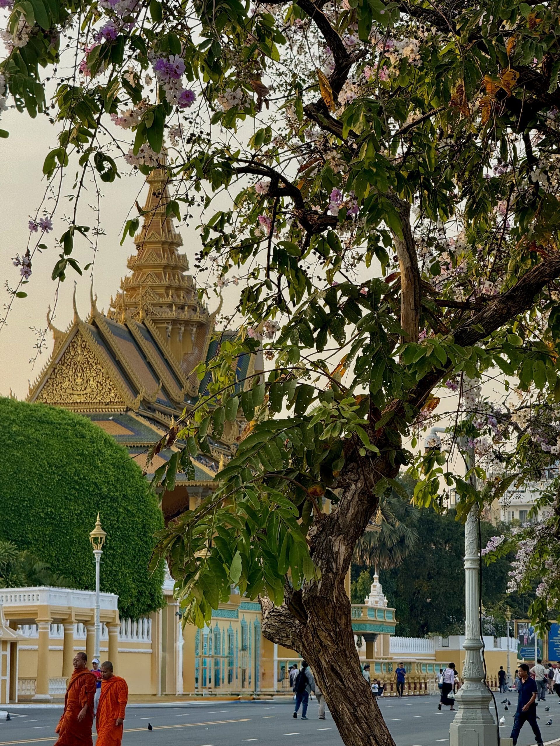 Cambodia: Siem Reap, Koh Rong & Phnom Penh  45