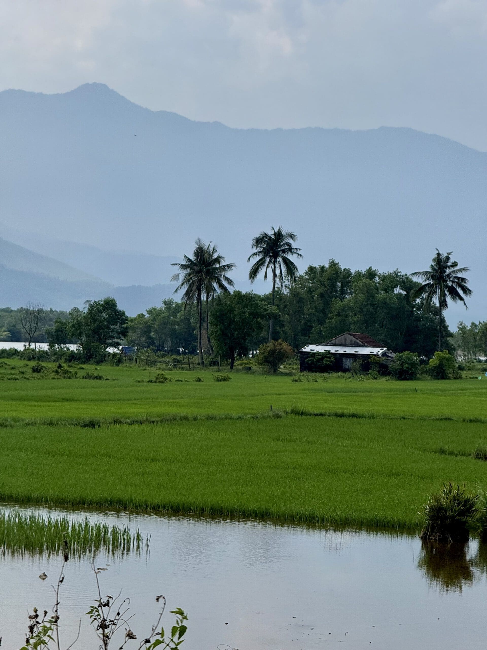 Southern Vietnam: Mekong, Huê, Hội An & Ho Chi Minh City 1