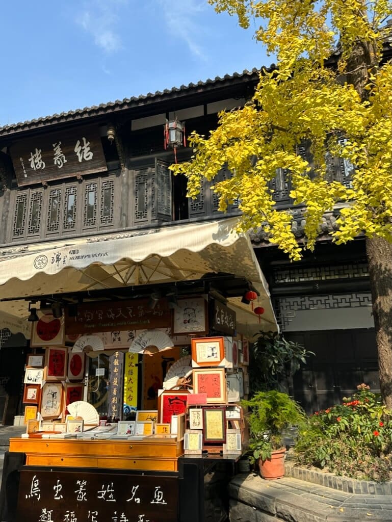 Top things to do in Sichuan Region: Chengdu, Leshan & Chongqing 18