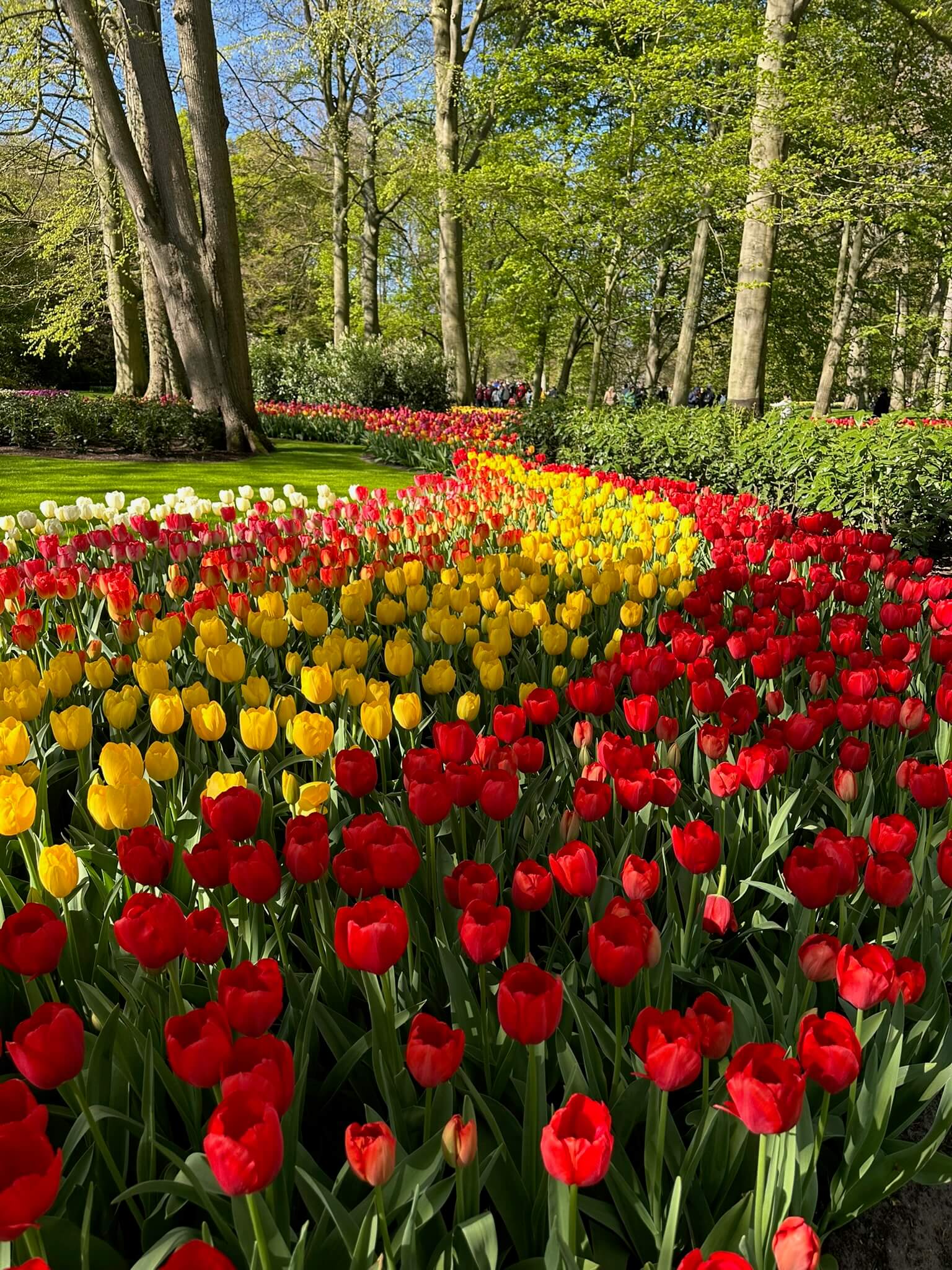 The Perfect Amsterdam Weekend: Where to Go, What to Eat 25