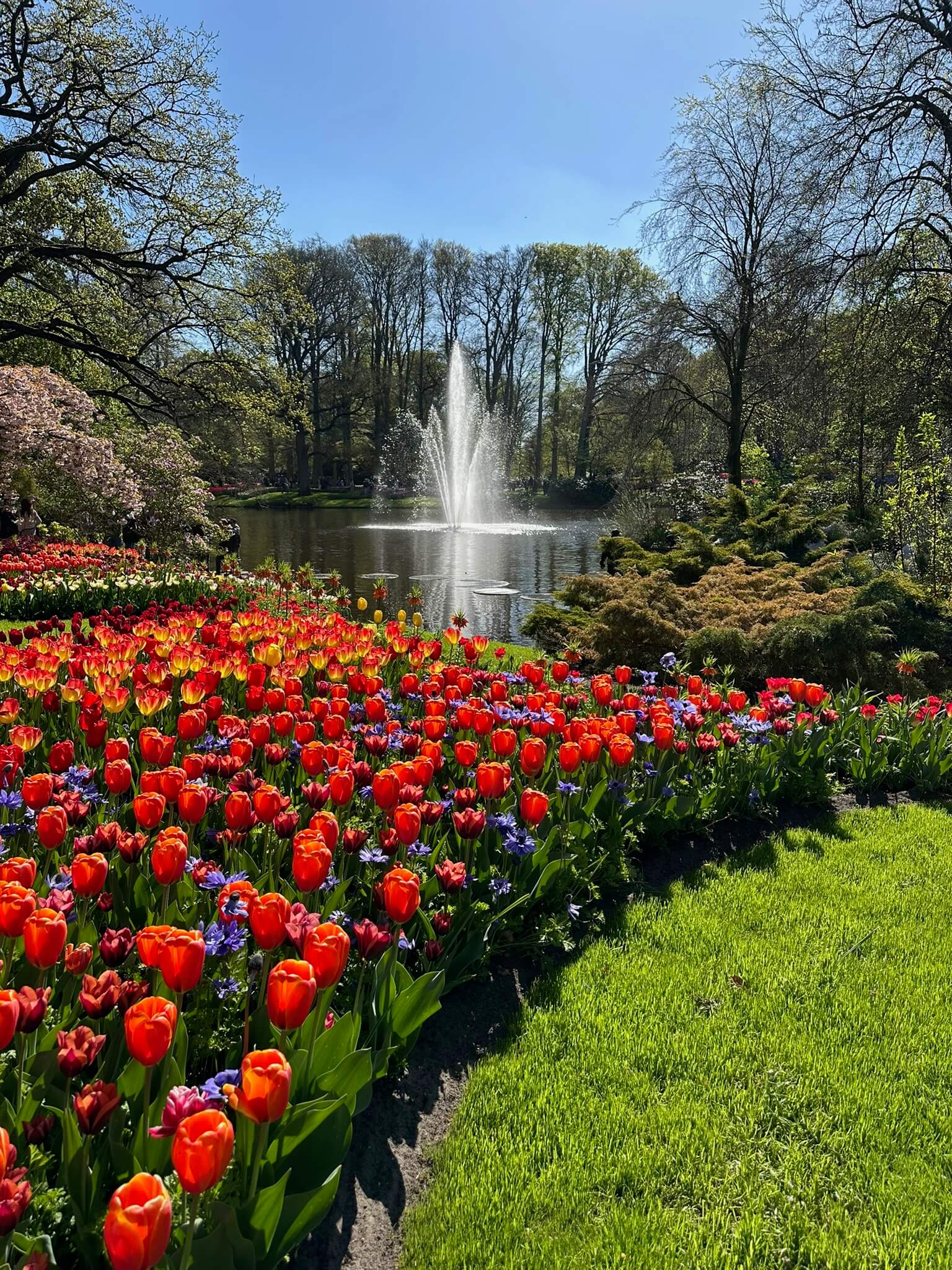 The Perfect Amsterdam Weekend: Where to Go, What to Eat 24