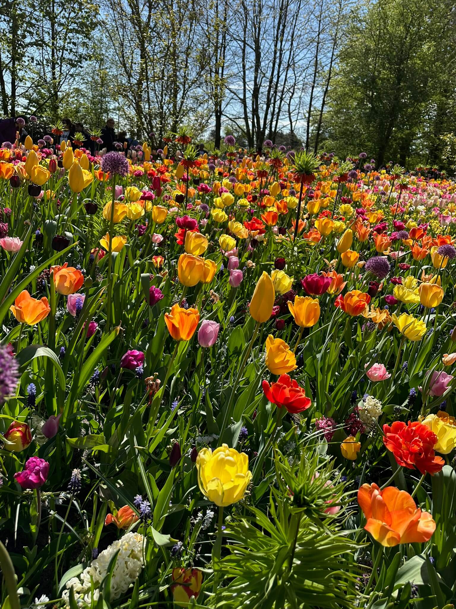 The Perfect Amsterdam Weekend: Where to Go, What to Eat 26