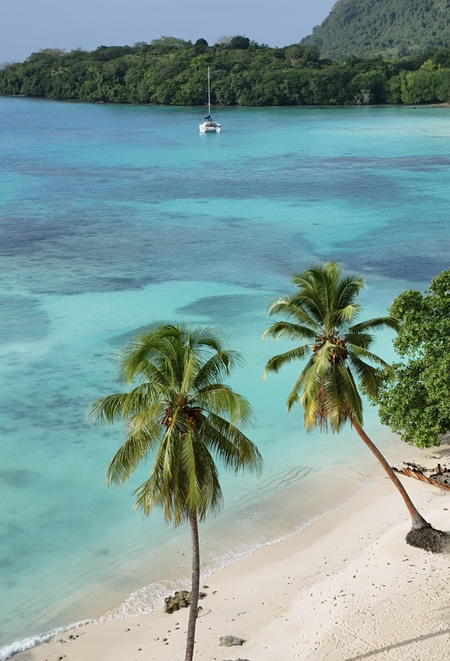 Lonnoc Beach with palm trees and turquoise water, Espiritu Santo, Vanuatu